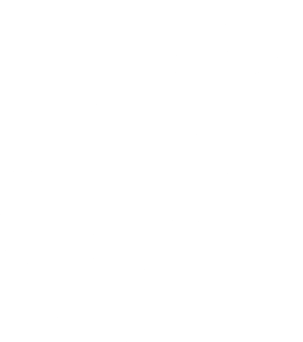 PERA LIMON CAMISETAS